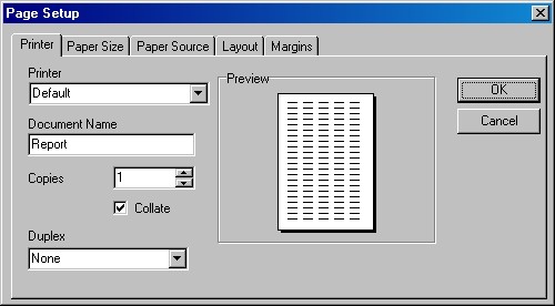 Page Setup